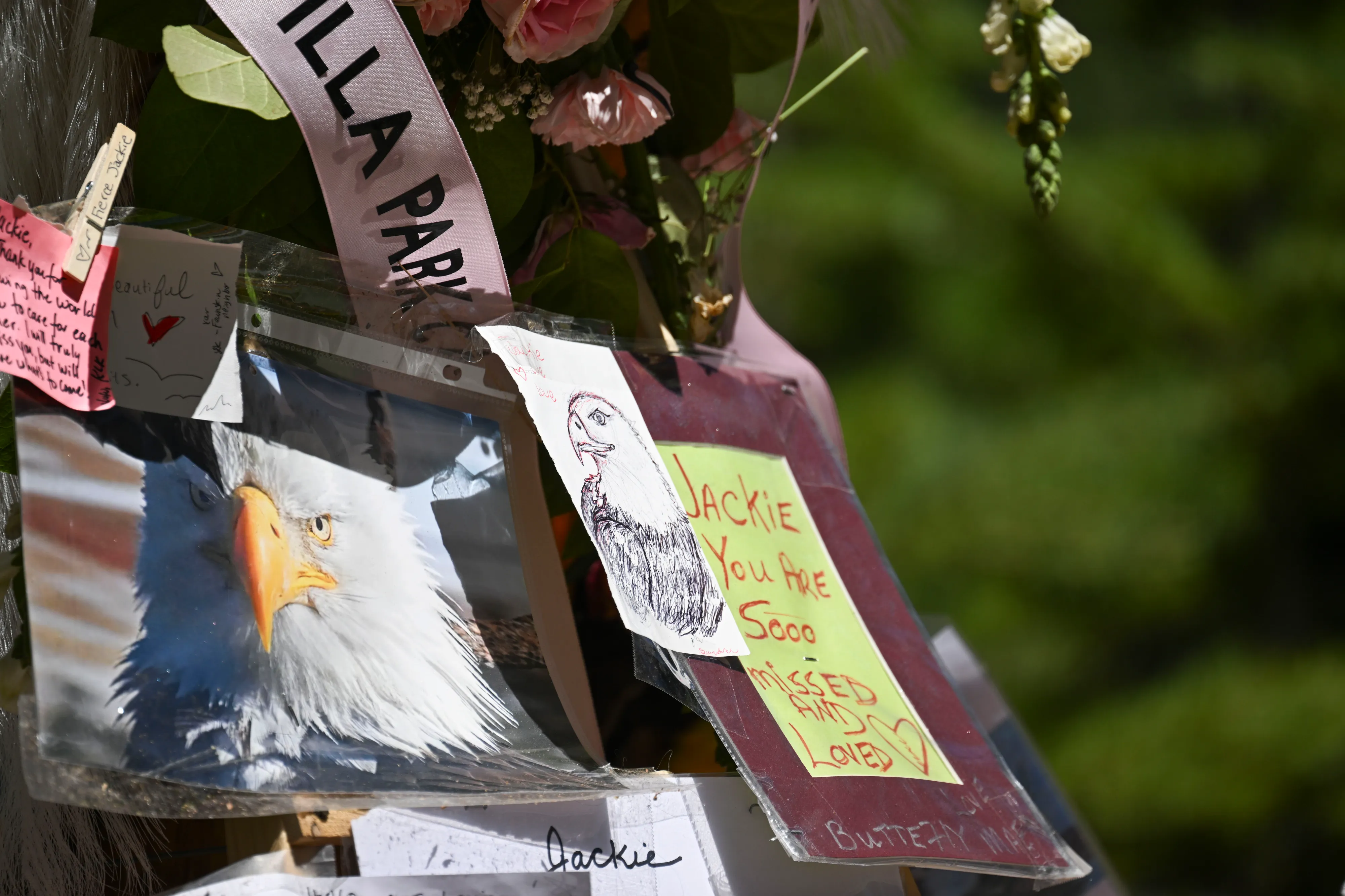 Three events planned to honor Jackie, Big Bear's beloved bald eagle